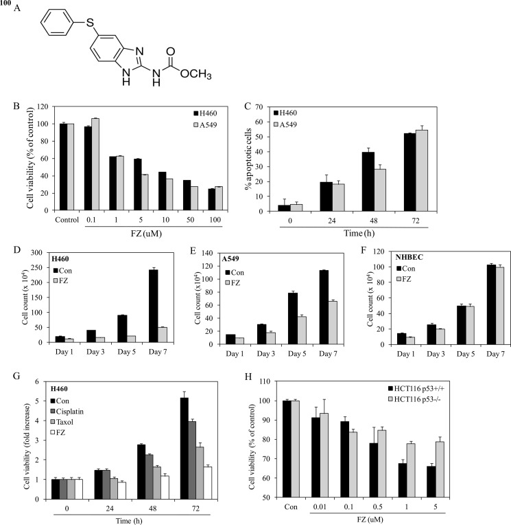 FIGURE 1.