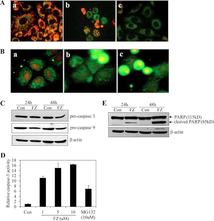 FIGURE 11.