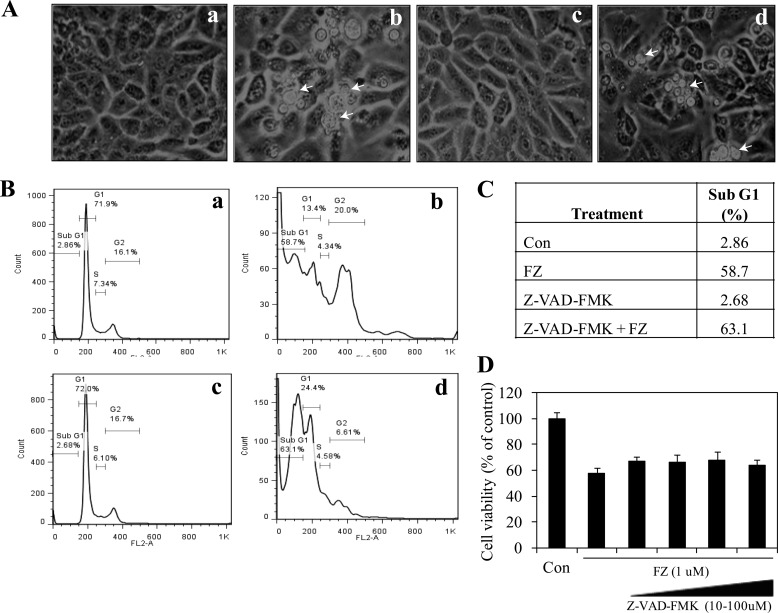 FIGURE 12.