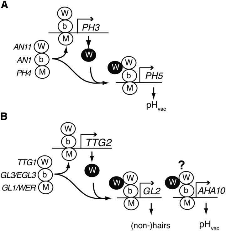 Figure 9.