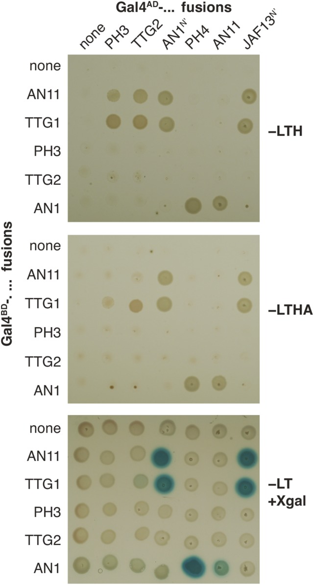 Figure 6.