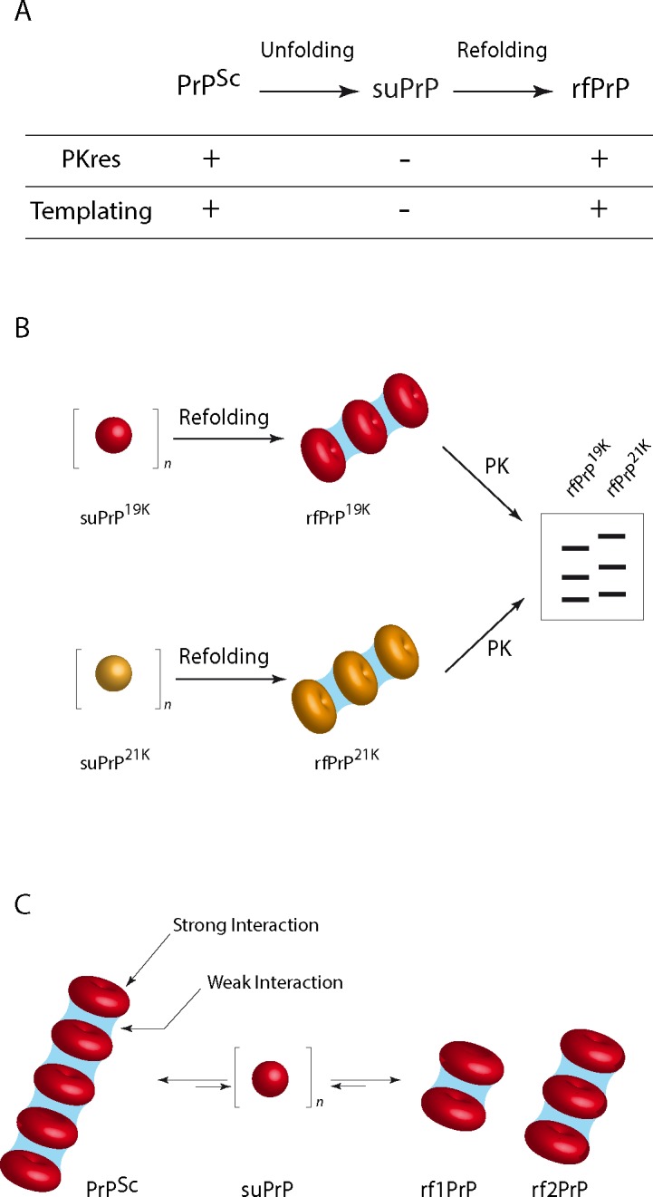 Fig 5