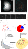 Figure 2.