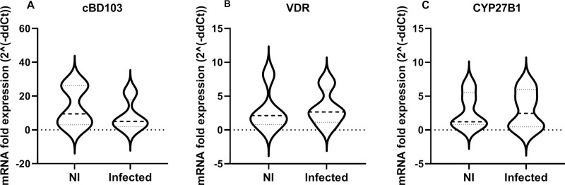 Fig 5