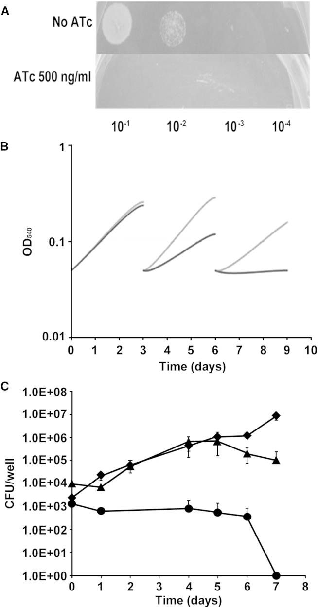 Figure 3