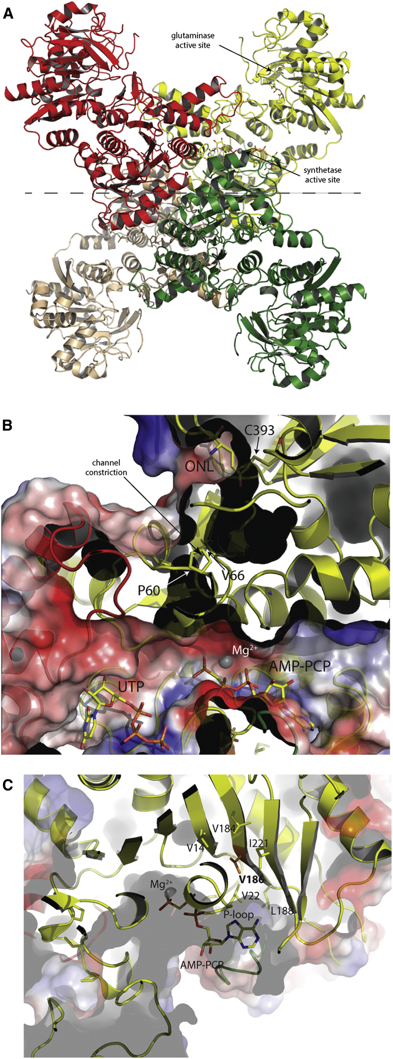 Figure 4