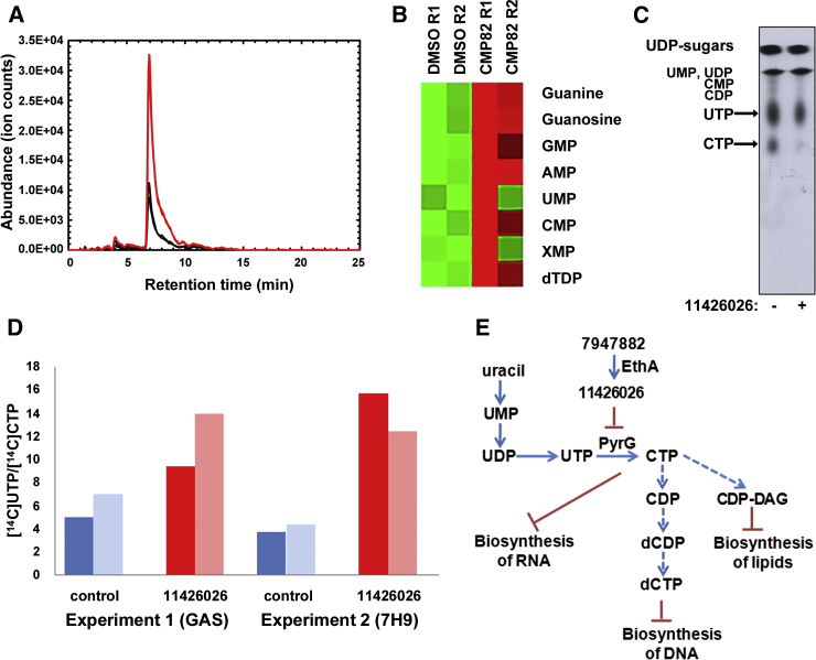 Figure 2