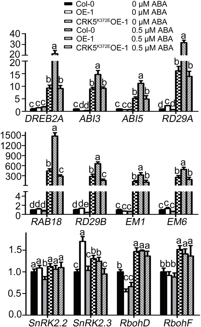 Fig. 7.