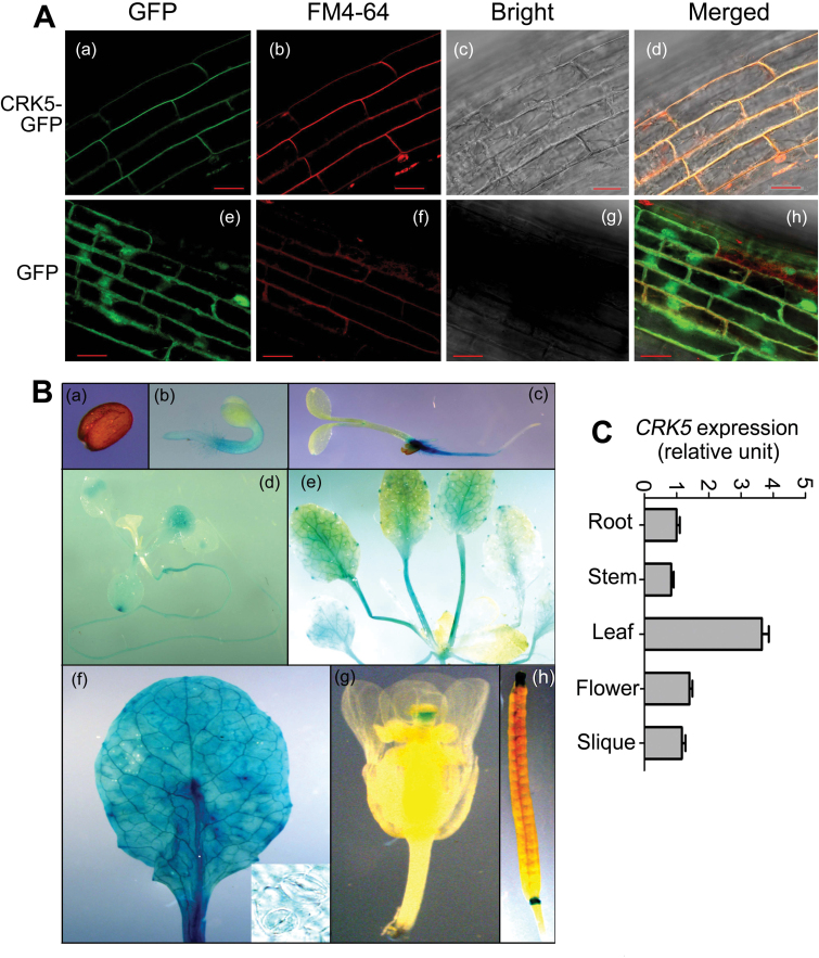 Fig. 6.