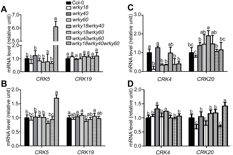 Fig. 12.