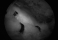Figure 3.