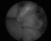Figure 2.