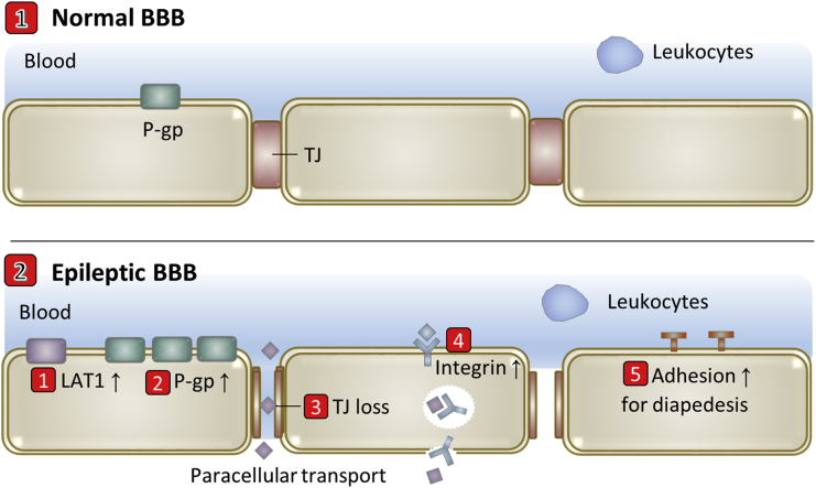 Figure 4