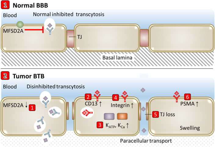 Figure 7