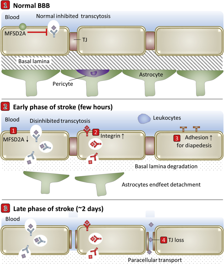 Figure 5