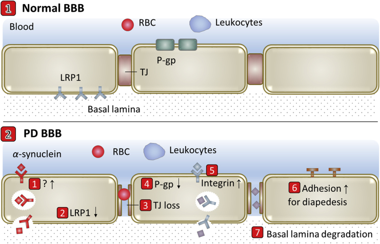 Figure 3