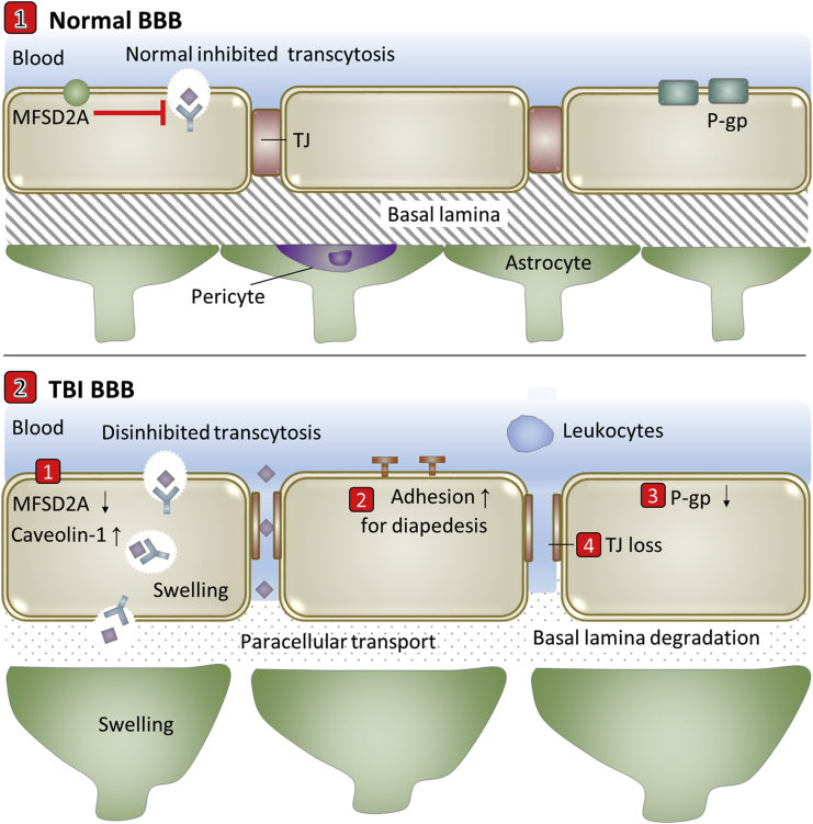 Figure 6