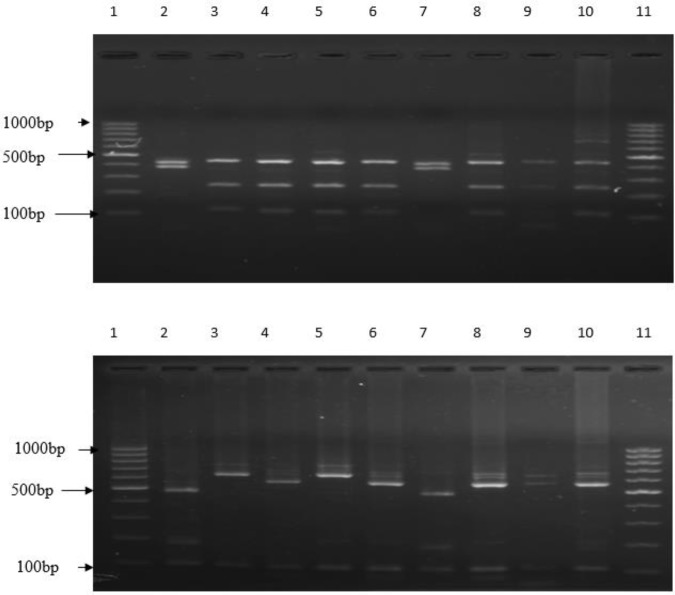 Figure 2(a and b).