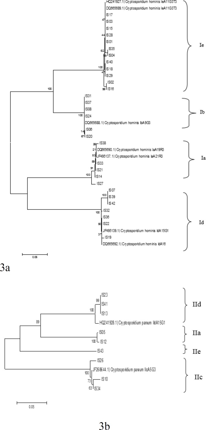 Figure 3(a and b).