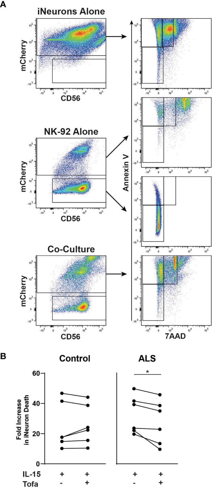 Figure 2