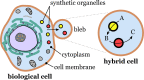 Figure 16