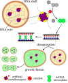 Figure 19