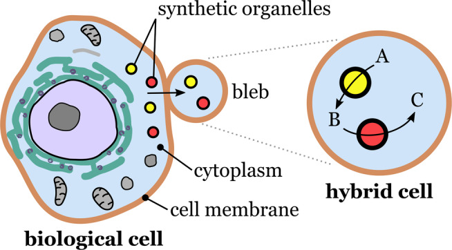 Figure 16