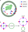 Figure 18