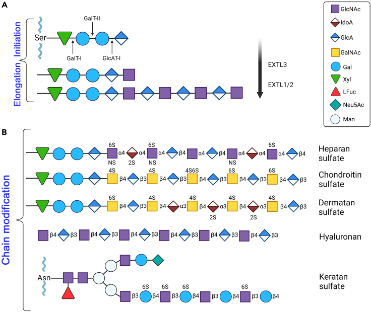 Figure 2