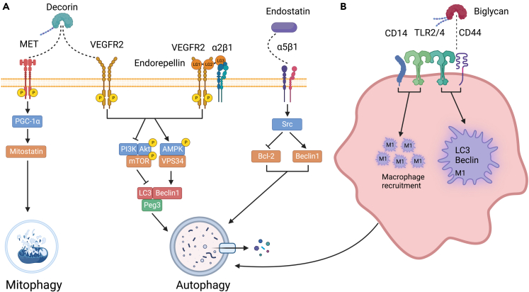 Figure 6