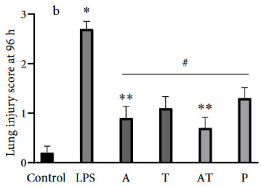 Figure 2b