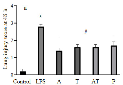 Figure 2a