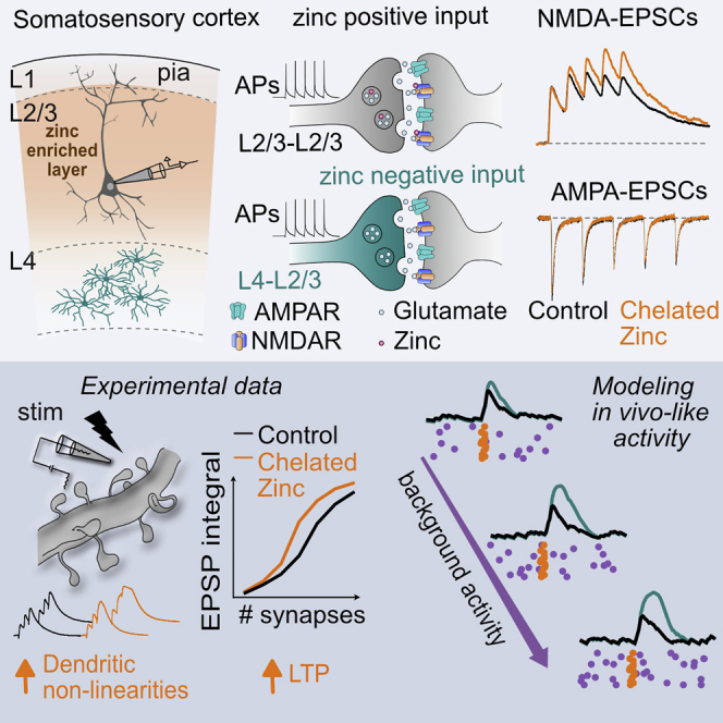 graphic file with name fx1.jpg