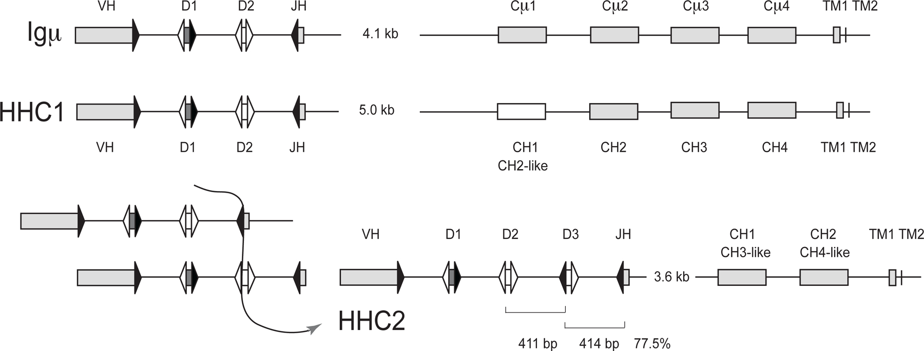 Figure 2.