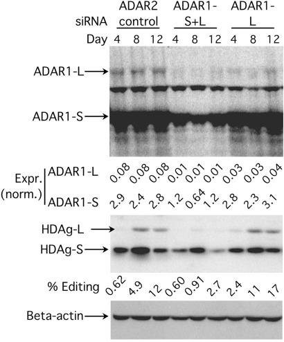 Fig 6.