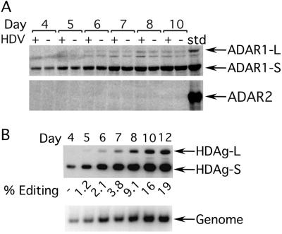 Fig 2.