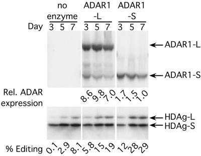 Fig 3.