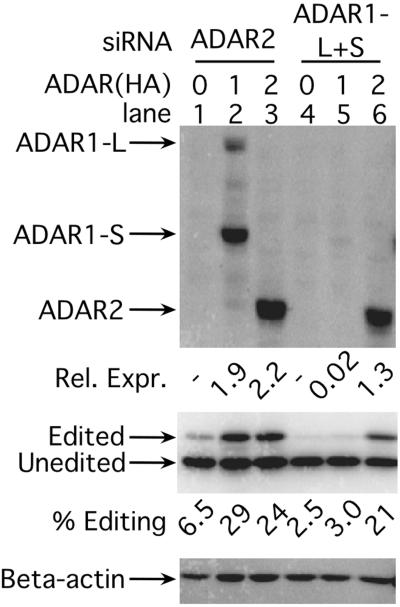 Fig 4.