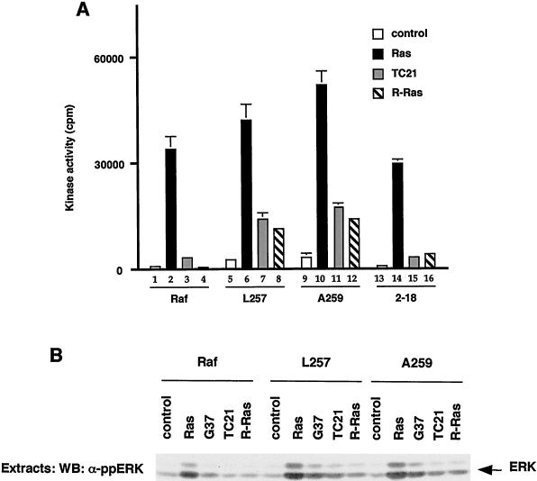 FIG. 8.