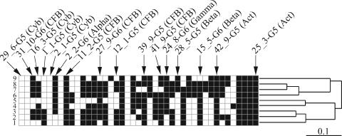 FIG. 3.