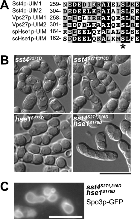 FIG. 7.