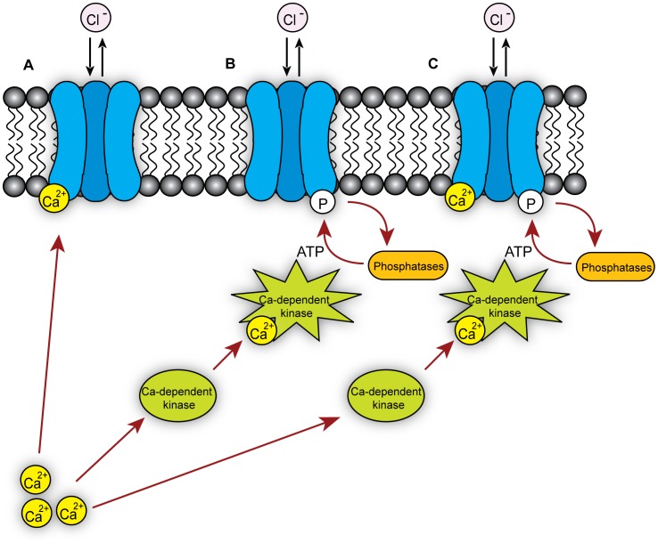 Figure 7