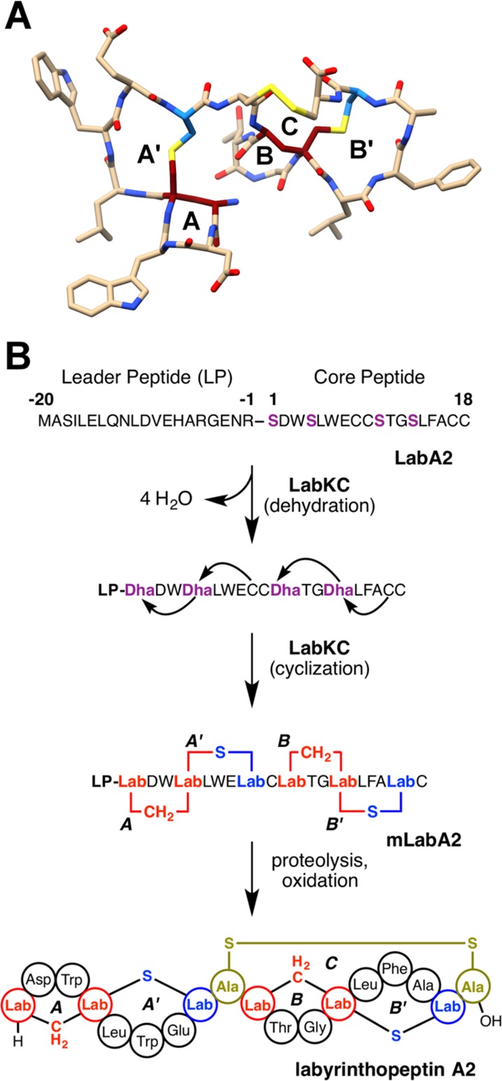 Figure 45