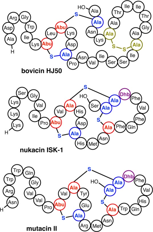 Figure 21