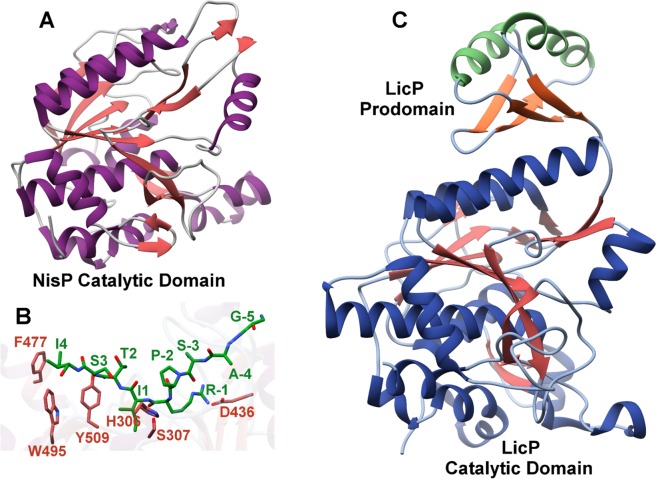 Figure 20