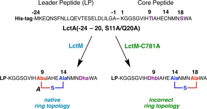 Figure 35