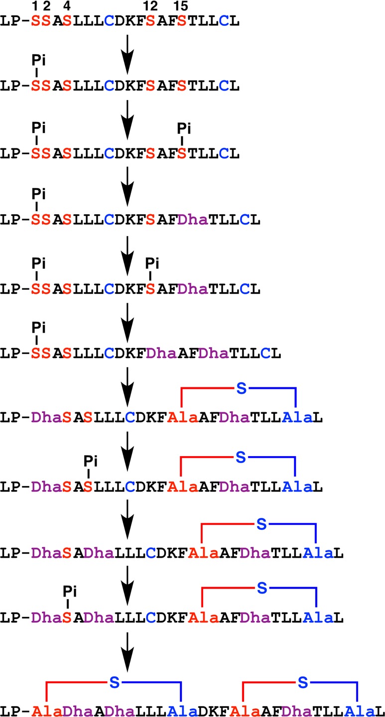 Figure 49