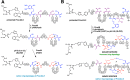 Figure 36