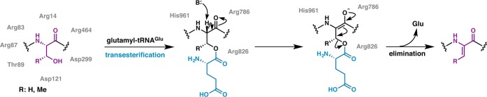 Figure 8