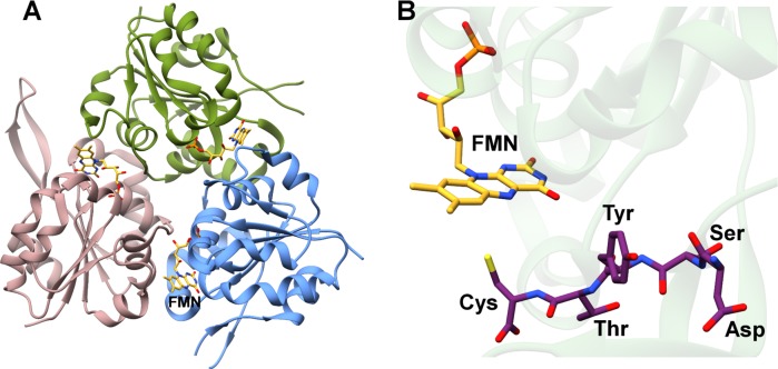 Figure 18